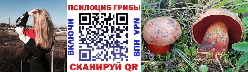 Галлюциногенные грибы MAGIC MUSHROOMS  наркота  Зерноград 